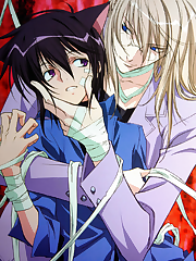 Twelve-year old Aoyagi Ritsuka is left with his insane mother as his only family when his brother, Seimei, is killed suddenly. After moving to a new school, he meets Agatsuma Soubi, who claims to have known his brother. Ritsuka eventually discovers that Soubi and Seimei used to be a fighting pair, whereby Soubi was the Fighter and Seimei was the Sacrifice. Now that Seimei is gone, Ritsuka has inherited Soubi, who will become his Fighter. After learning that Seimei was killed by an organisation known as the Seven Moons, Ritsuka decides to investigate into his brother’s death, with the sometimes useless help of Soubi, along the way.