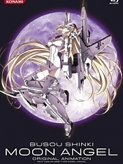 The story follows the coming of age and Shinki battles of Tsubasa, a boy who dreams of becoming a Shinki Master, and his Shinki partner Arnval Mk. 2.