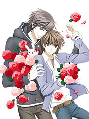 Second season of Sekaiichi Hatsukoi.